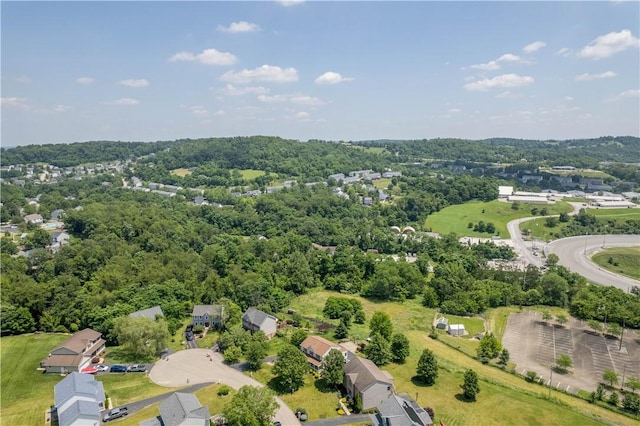 542 Bluegrass Dr, North Strabane, PA 15317 - photo 40