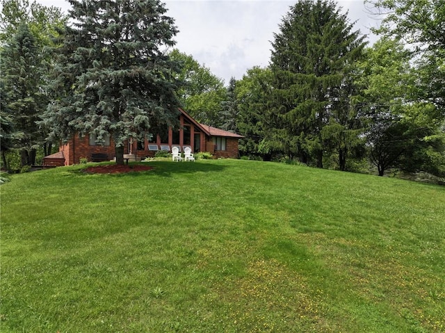 214 Labash Ln, Rostraver, PA 15012 - view of green lawn