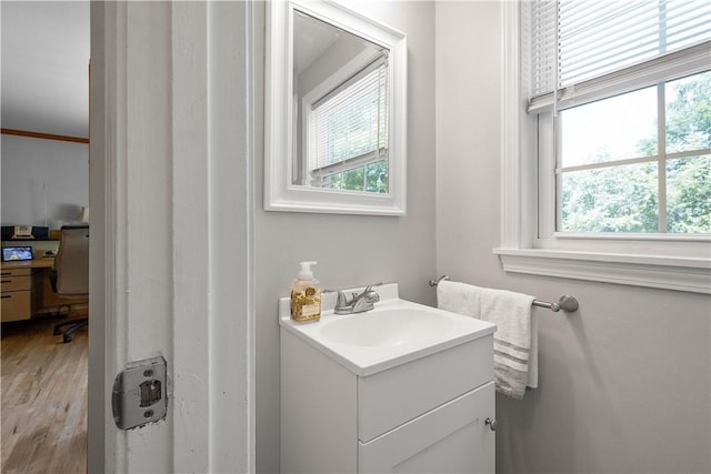 5934 Barnes Ave, Bethel Park, PA 15102 - bathroom featuring healthy amount of natural light, vanity, and wood finished floors