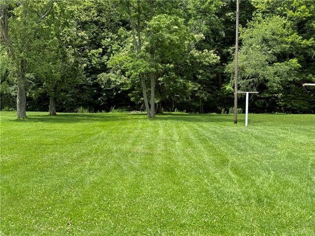 1725 Browns Creek Rd, Nineveh, PA 15353 - photo 23