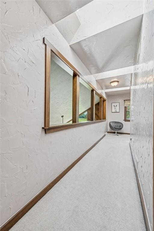 227 Holly Pl, Mount Pleasant Twp Wml, PA 15666 - hallway featuring carpet floors