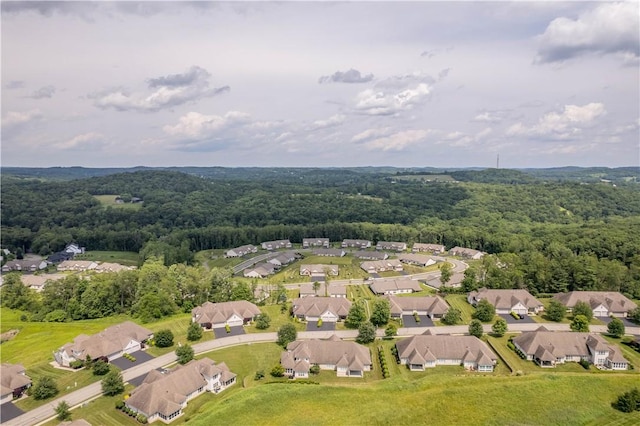 238 Hytyre Farms Dr, West Deer, PA 15044 - photo 42