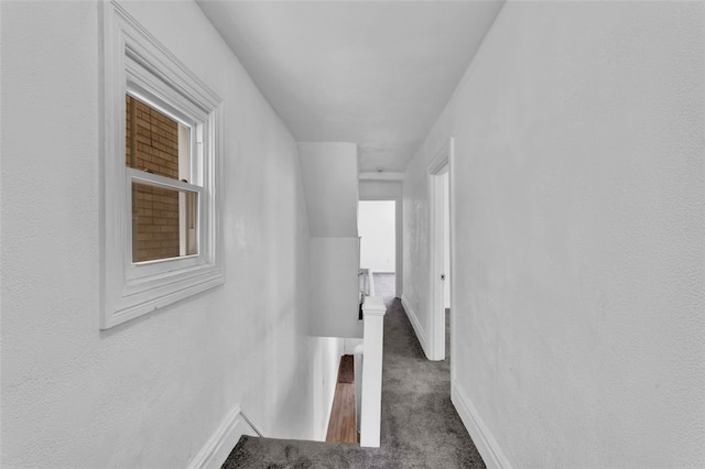 16 4th St, Sharpsburg, PA 15215 - hallway with an upstairs landing and carpet floors