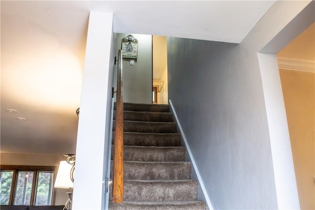 3118 Haberlein Rd, Hampton, PA 15044 - photo 15