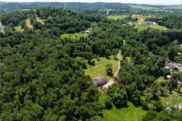 207 Linden Rd, North Strabane, PA 15317 - bird's eye view of a heavily wooded area