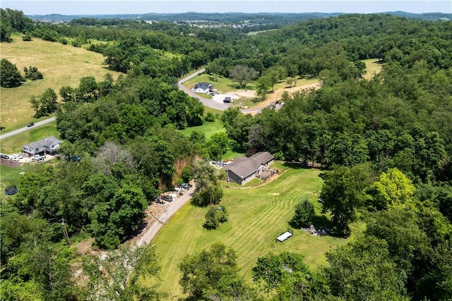 207 Linden Rd, North Strabane, PA 15317 - drone / aerial view of a forest