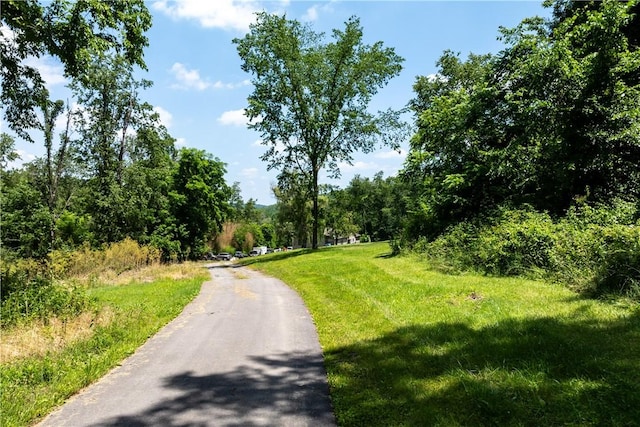 207 Linden Rd, North Strabane, PA 15317 - view of street with a wooded view