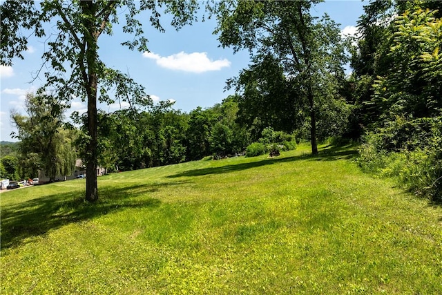 207 Linden Rd, North Strabane, PA 15317 - view of grassy yard