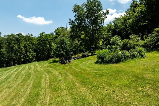 207 Linden Rd, North Strabane, PA 15317 - view of green lawn