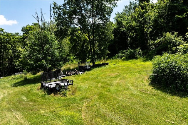 207 Linden Rd, North Strabane, PA 15317 - view of yard