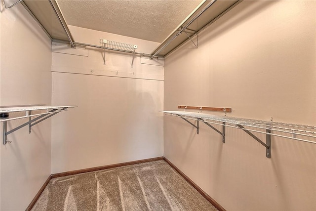 1318 Dellview Dr, Unity Twp, PA 15601 - walk in closet featuring carpet