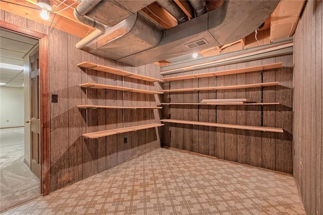 1318 Dellview Dr, Unity Twp, PA 15601 - view of storage area
