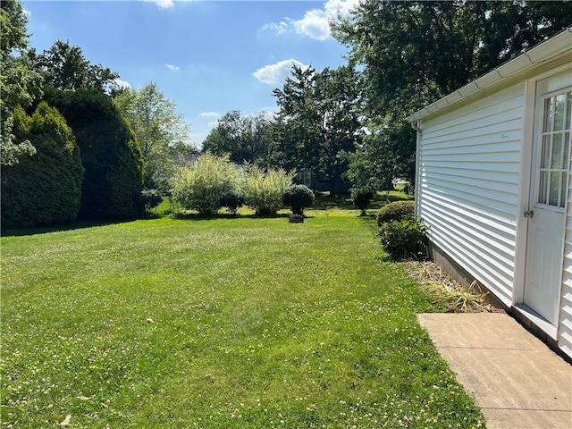 642 S 3rd St, Sharpsville, PA 16150 - view of green lawn