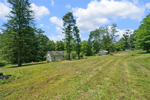 665 Stuchell Rd, Burrel/Blacklick, PA 15748 - view of green lawn with a storage unit
