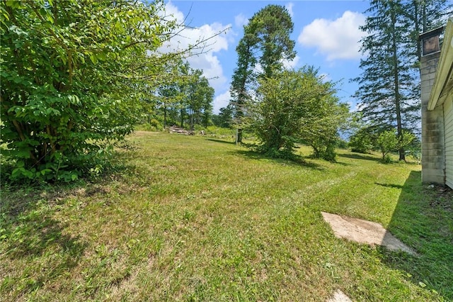 665 Stuchell Rd, Burrel/Blacklick, PA 15748 - view of green lawn