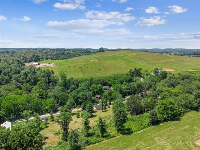 665 Stuchell Rd, Burrel/Blacklick, PA 15748 - bird's eye view of a forest