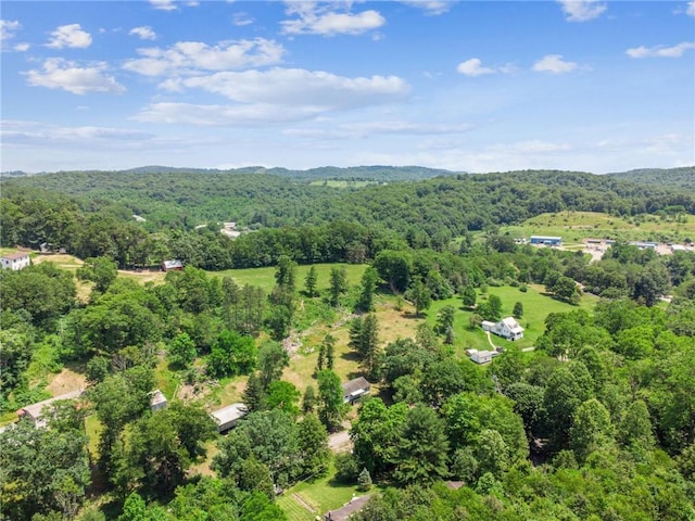 665 Stuchell Rd, Burrel/Blacklick, PA 15748 - bird's eye view of a heavily wooded area