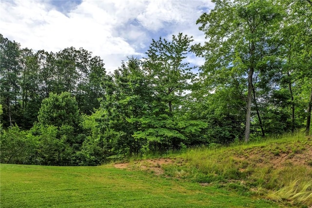 212 Bengal Fox, Jackson Twp, PA 16063 - view of yard featuring a forest view