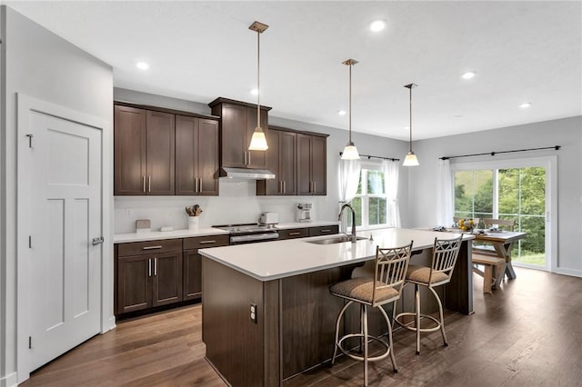 212 Bengal Fox, Jackson Twp, PA 16063 - kitchen featuring healthy amount of natural light, dark wood-type flooring, light countertops, dark brown cabinets, and recessed lighting