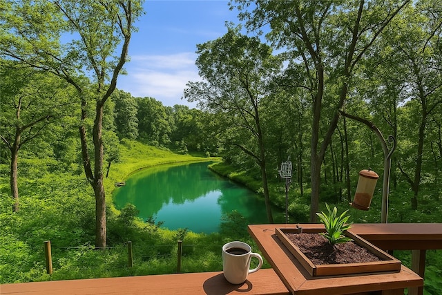530 Perry Hwy, Lancaster Twp, PA 16037 - water view with a forest