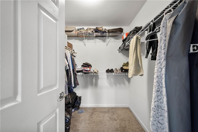 6412 Interlaken Dr, South Fayette, PA 15057 - spacious closet featuring carpet