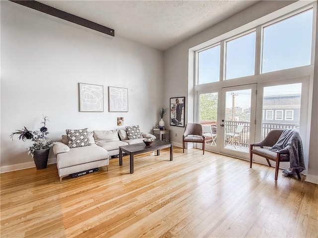 66 Pius St Unit 103, South Side, PA 15203 - living room featuring light wood-style floors and a towering ceiling
