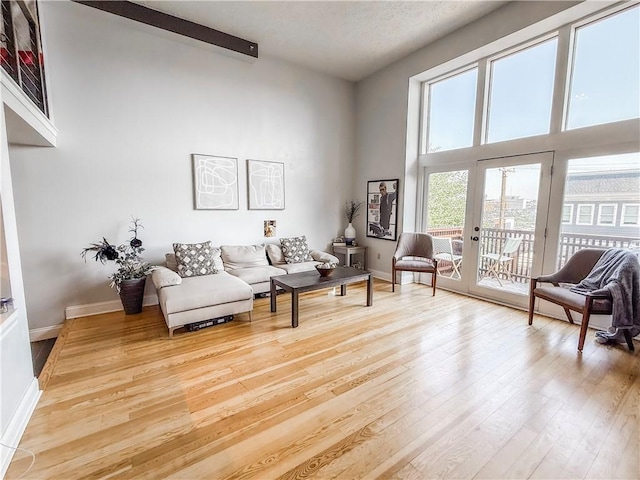 66 Pius St Unit 103, South Side, PA 15203 - living room featuring wood finished floors and a high ceiling