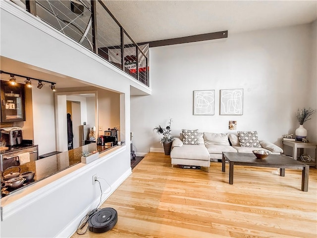 66 Pius St Unit 103, South Side, PA 15203 - living room featuring wood finished floors and track lighting