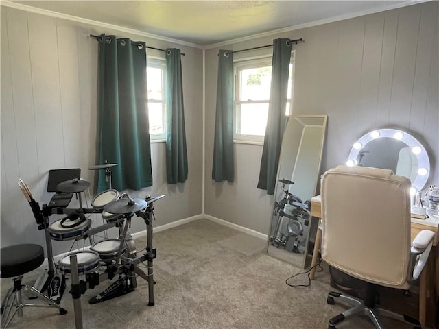 2103 Vermont Ave, West Mifflin, PA 15122 - office featuring carpet floors and ornamental molding