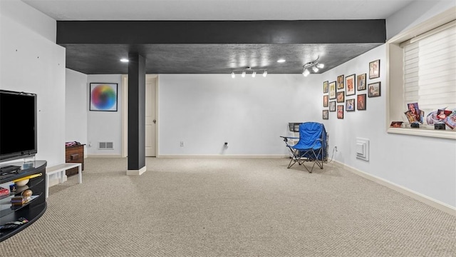 1025 Brookfield Dr, Bethel Park, PA 15102 - finished basement featuring carpet floors and track lighting