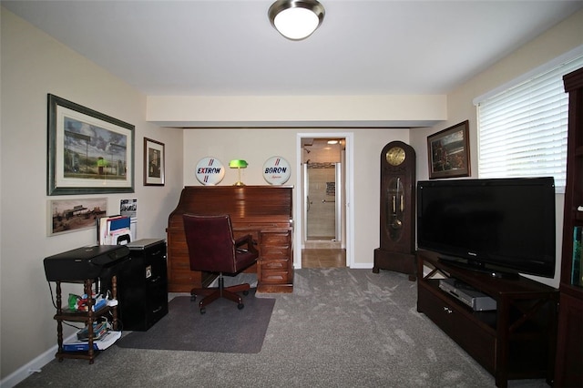 1351 Sky Ridge Dr, Upper St Clair, PA 15241 - carpeted office with baseboards