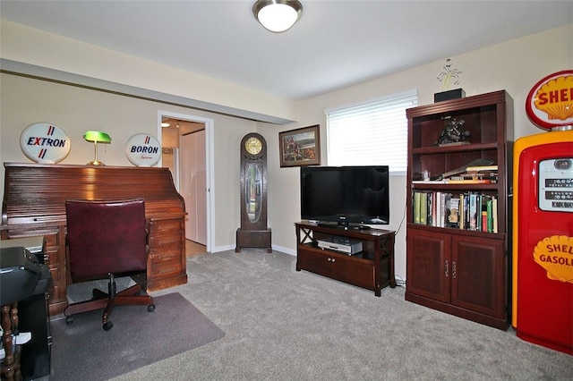1351 Sky Ridge Dr, Upper St Clair, PA 15241 - carpeted office with baseboards