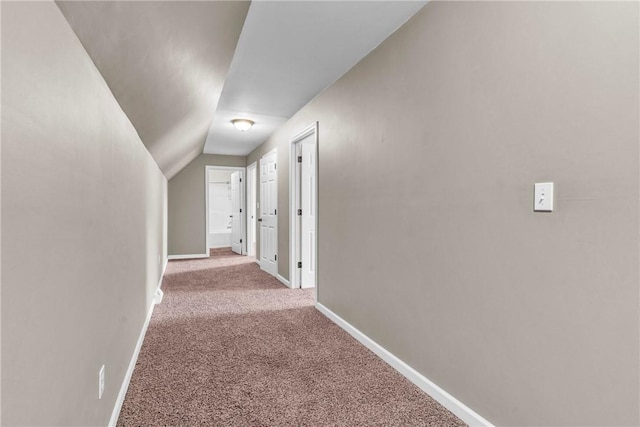1659 Hooker Rd, Pa, PA 16041 - hallway with carpet and lofted ceiling