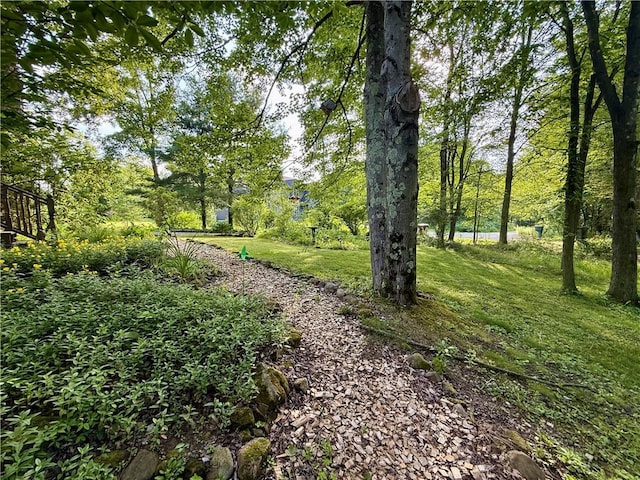 209 Modoc Trl, Jackson Twp, PA 16137 - photo 15