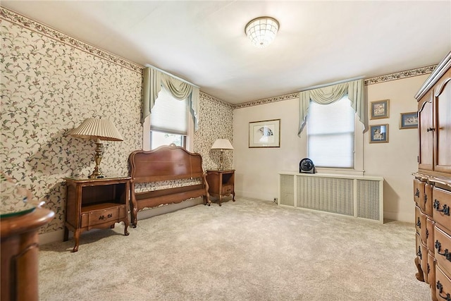 1009 Flemington, Squirrel Hill, PA 15217 - photo 19