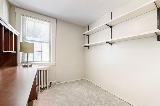 1009 Flemington, Squirrel Hill, PA 15217 - photo 23