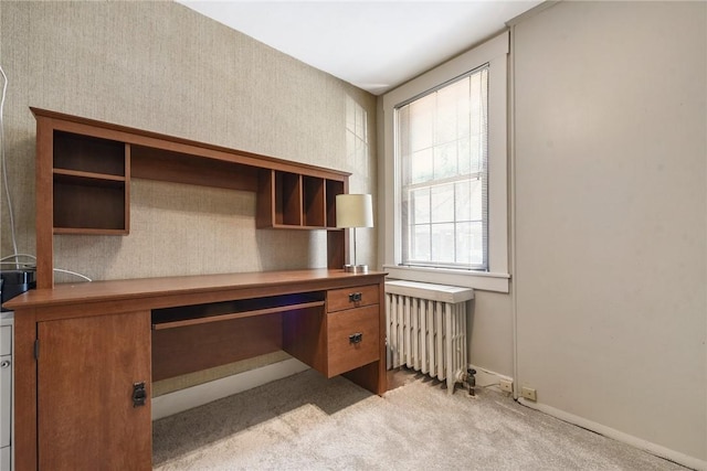1009 Flemington, Squirrel Hill, PA 15217 - photo 24