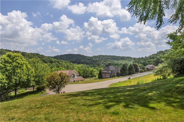 245 Shaw Ct, Salem Twp Wml, PA 15670 - mountain view with a heavily wooded area