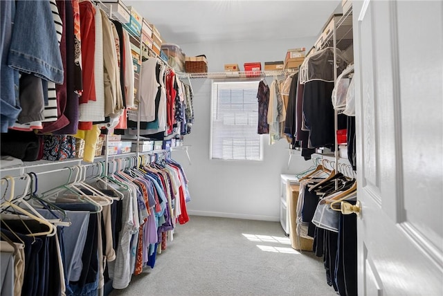 260 Arrowhead Ln, Nottingham, PA 15330 - spacious closet featuring carpet floors