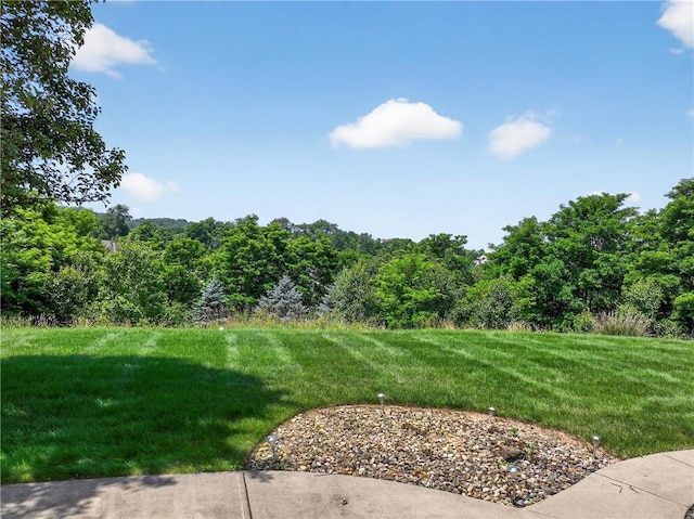260 Arrowhead Ln, Nottingham, PA 15330 - view of grassy yard