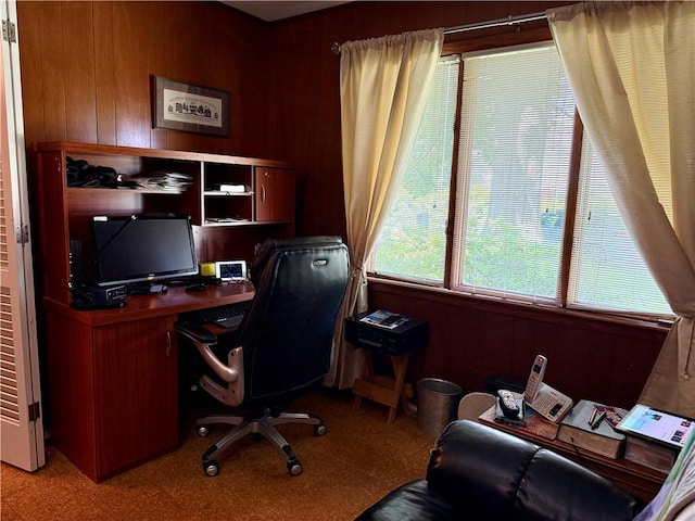 1180 Sunset Dr, Latrobe, PA 15650 - office with wooden walls