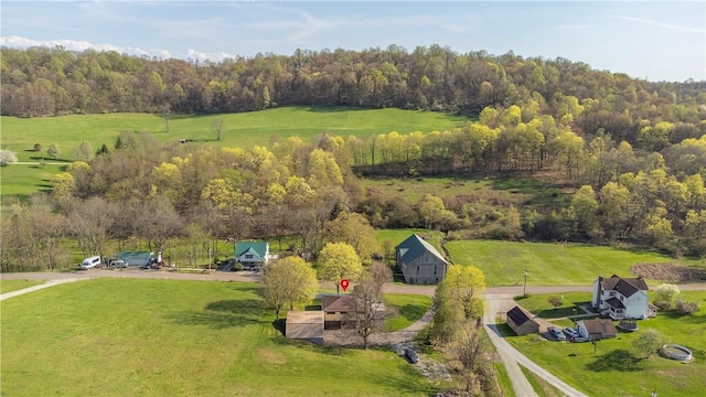 6096 Kemerer Hollow Rd, Murrysville, PA 15632 - photo 45