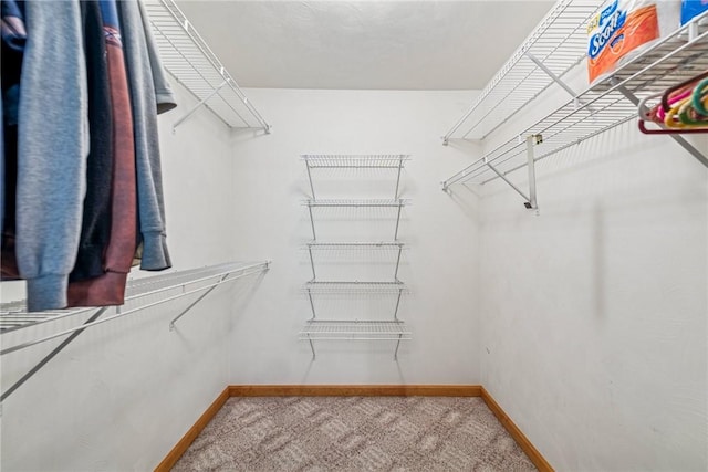 1480 Spring Crest Cir, Derry Twp, PA 15650 - walk in closet featuring carpet
