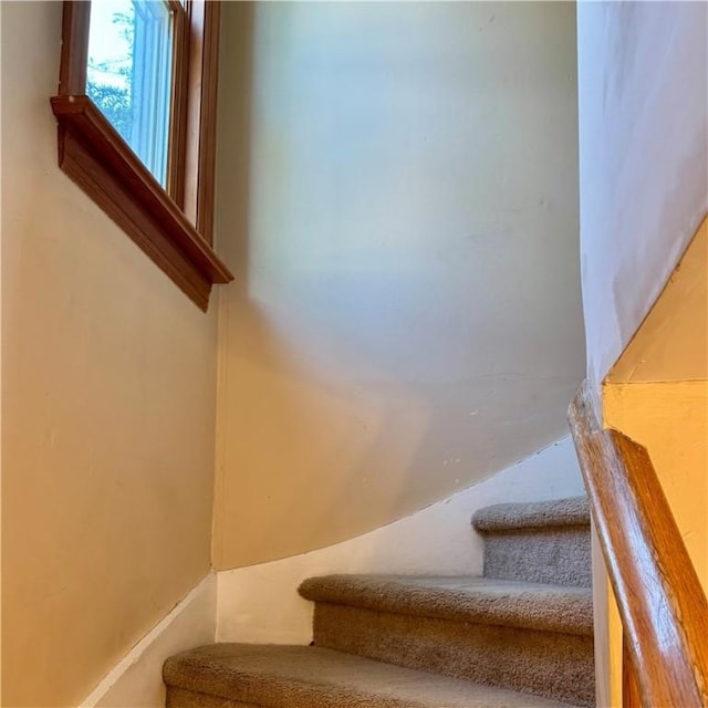 831 N Main St, City Of Washington, PA 15301 - photo 15