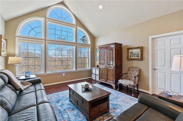 261 Patriot Ln, Economy, PA 15042 - living area featuring plenty of natural light, dark wood finished floors, and high vaulted ceiling