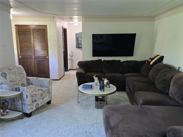 201 Joseph Dr, Canonsburg, PA 15317 - photo 13