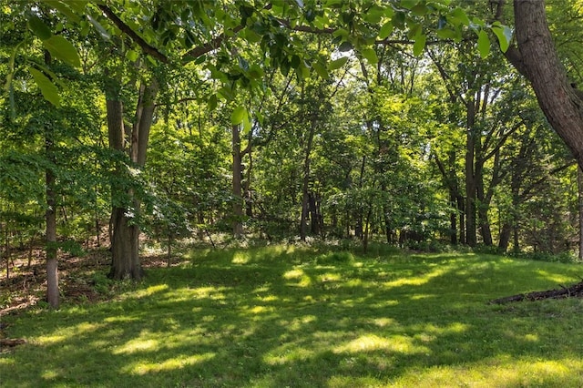 2860 Beaver Rd, Pa, PA 15003 - view of grassy yard featuring a wooded view