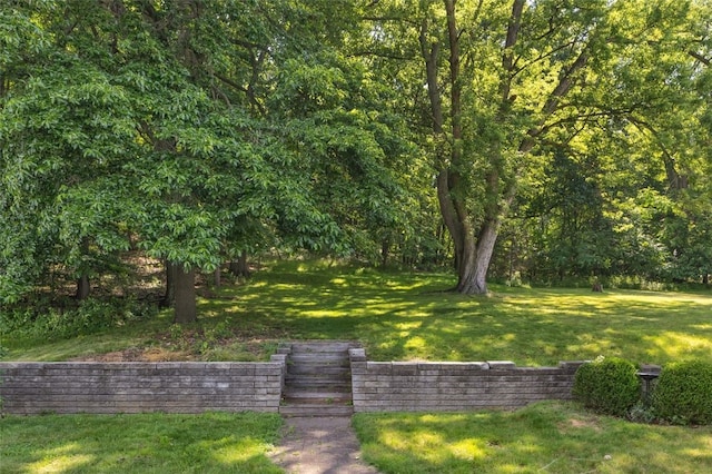 2860 Beaver Rd, Pa, PA 15003 - view of grassy yard
