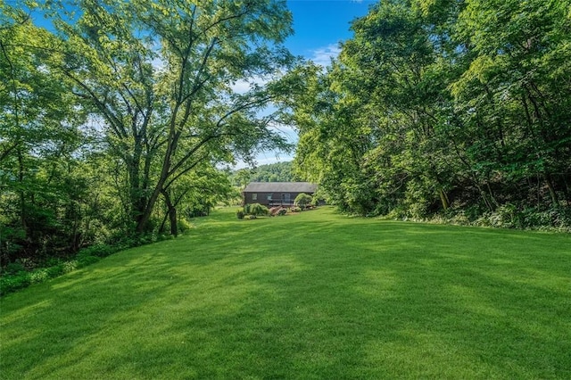 511 Markeys Rd, Ruffs Dale, PA 15679 - photo 35