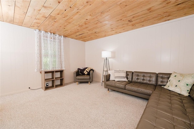 68 Riverside Ave, Center Twp/Homer Cty, PA 15748 - living area with wooden ceiling and carpet floors